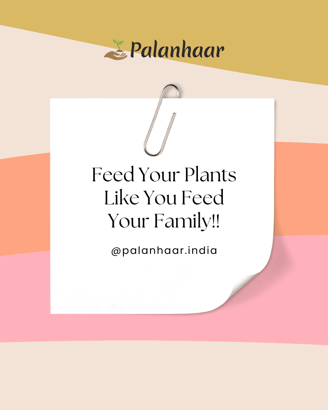 feed-your-plant